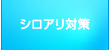 シロアリ対策