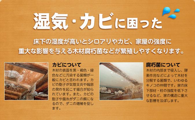 湿気・カビに困った