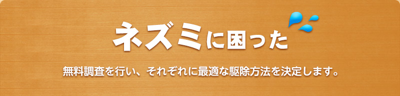 ネズミに困った