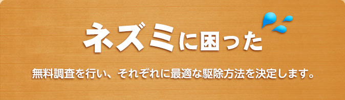 ネズミに困った