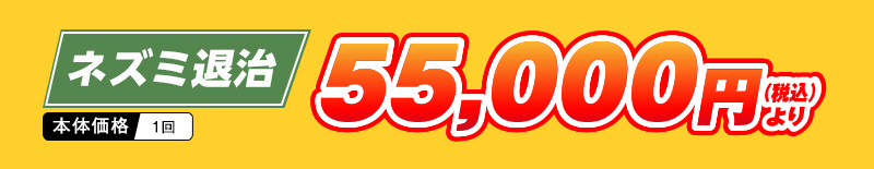 ネズミ退治　55,000円(税込)より