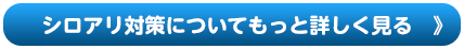 シロアリ対策についてもっと詳しく見る　》